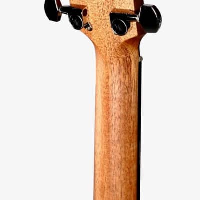 Furch Blue Deluxe Gc-SW with Stage Pro Element Sitka Spruce / Walnut #107517 image 10