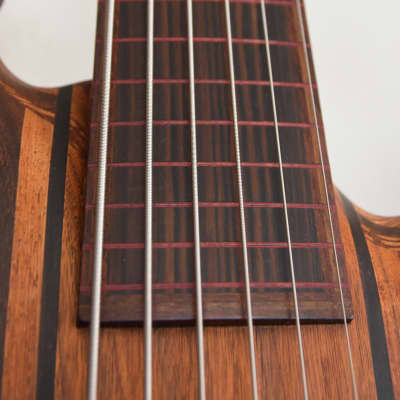 Carl Thompson 6 string fretless fancy rainbow scroll bass | Reverb