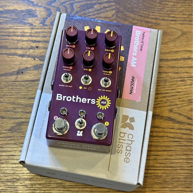 Chase Bliss Audio Brothers AM