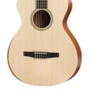 Taylor Academy 12e-N Grand Concert Nylon String Acoustic/Electric Guitar