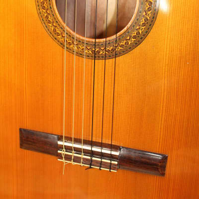 Aria Classical Guitar AC-10 image 2