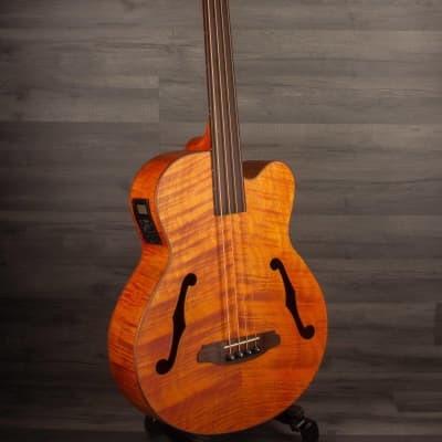 Aria FEB F2/FL Fretless Acoustic Bass Natural image 3