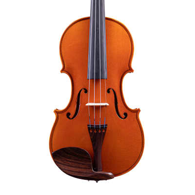 Nelu Dan Violin 4/4 Hand-made in Romania 2020 #151 image 1