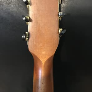 1920s Stromberg-Voisinet (Kay) Hawaiian Themed Parlor Guitar - Very Cool! image 18