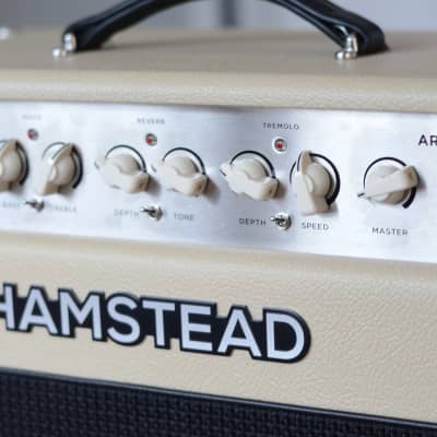 Hamstead Artist 20RT with Flightcase and Soft case image 4