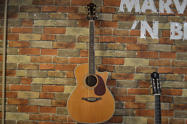 Hohner EA65CEQ Grand Auditorium Acoustic Electric Guitar with case