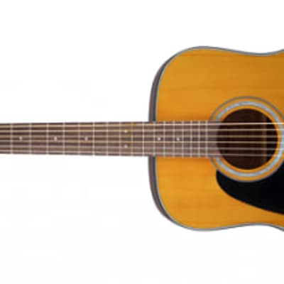 □□TAKAMINE GAKKI Elite TW-25 1973年頃製造のジャパン