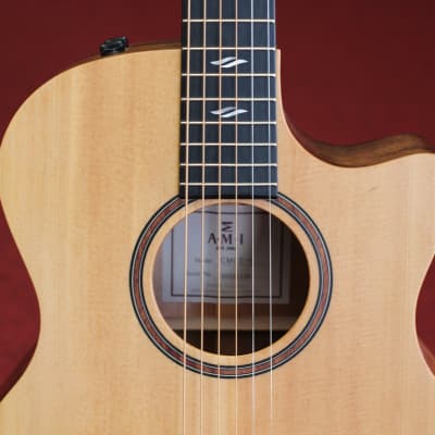 AMI GMCE-1 Acoustic Electric Guitar - Natural Satin Finish image 4