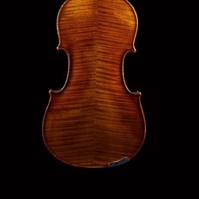 Albin L. Paulus Jr 4/4 Violin Made in Germany circa 1920 | Reverb