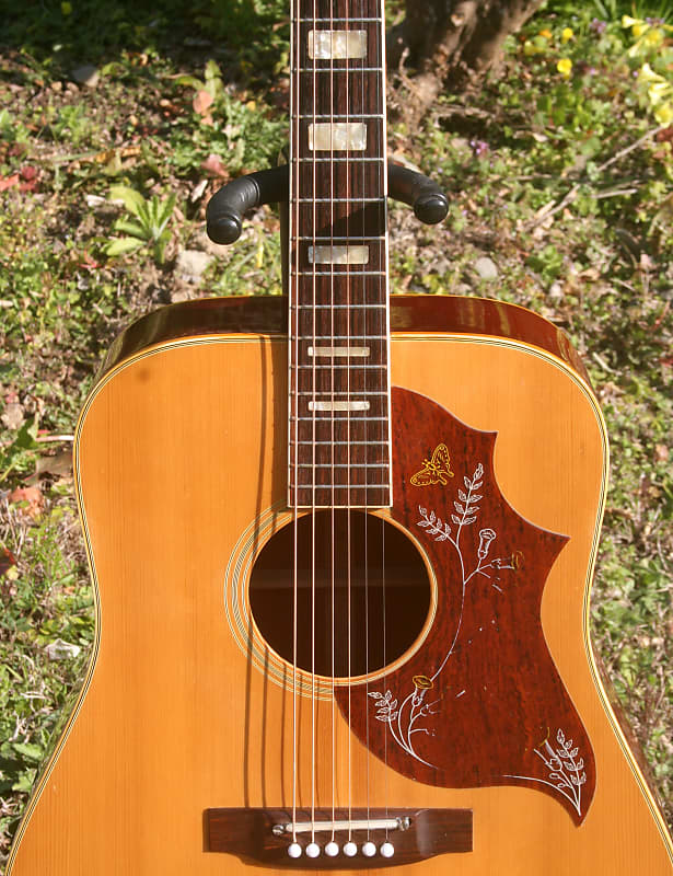 1974 Takamine Elite Elite HM-25 Humming Bird Model - Natural