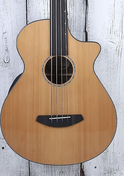 Breedlove Solo Jumbo Fretless Bass Acoustic Electric Bass Guitar w Gig Bag NAMM image 1