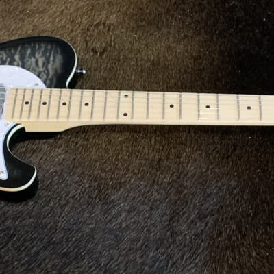 Grote  Thinline Telecaster Gray image 10