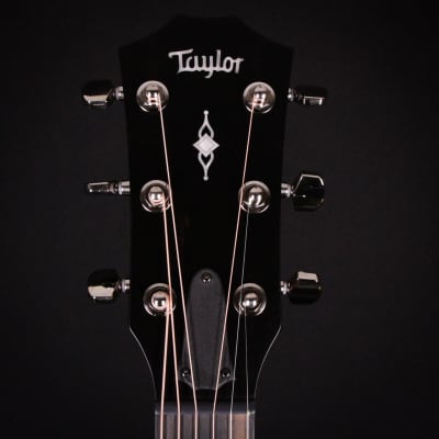 Taylor 314ce Special Edition Rosewood / Sitka Spruce Grand Auditorium Acoustic Electric Guitar 2023 (1209133074) image 6