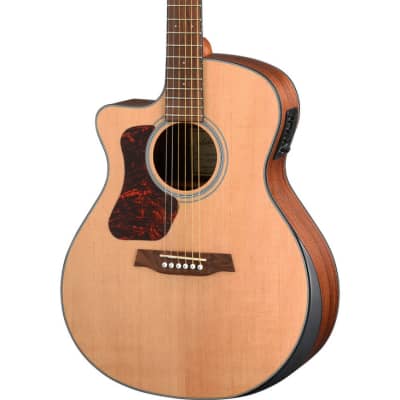 Walden G550RCEL Natura Acoustic Guitar - Grand Auditorium - Left-Handed Acoustic-Electric for sale