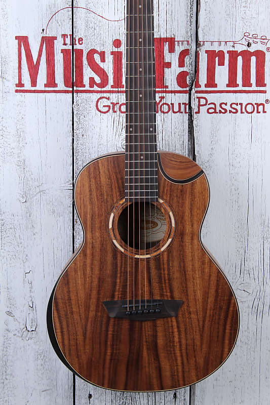 Washburn G-Mini 55 Koa Mini Grand Auditorium Acoustic Guitar with Gig Bag  NAMM