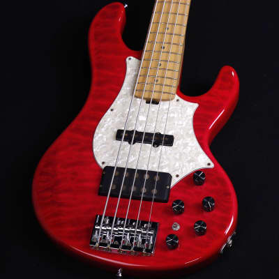 EDWARDS E-T-170BD L'Arc-en-Ciel tetsuya MODEL See Thru