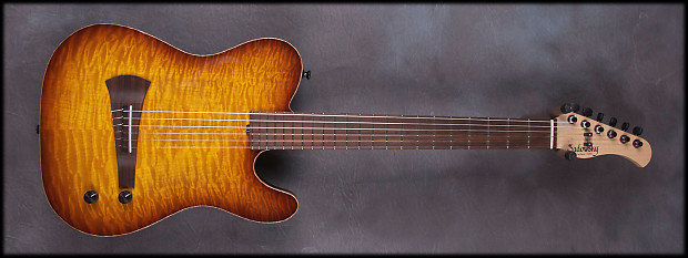Sadowsky on sale nylon guitar