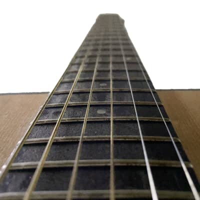 Ibanez Performance Acoustic Guitar PF10 & Case = Luthier Setup image 10