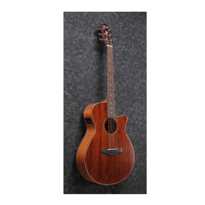 Ibanez AEG220 6-String Acoustic-Electric Guitar (Right-Hand, Natural Low Gloss) image 3