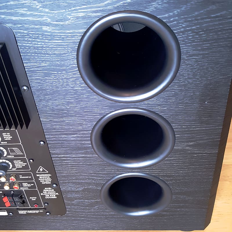 Paradigm PS-1000 V.1 Subwoofer w/ Amp +Speaker Wires | Reverb Canada