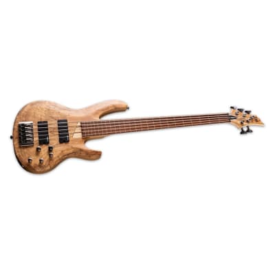ESP LTD B-205SM Fretless 5-String Electric Bass Guitar with Roasted Jatoba Fingerboard, Ash Body, Spalted Maple Top, and 5-Piece Maple or Jatoba Neck (Right-Handed, Natural Satin) image 3