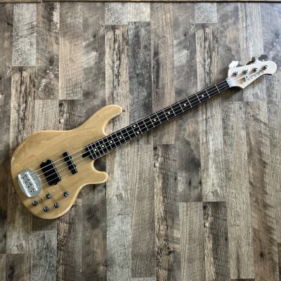 LAKLAND Lakland Skyline Japan Series SK-5DX Blue Translucent [SN