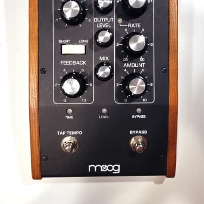 Moog Moogerfooger MF-104M Analog Delay | Reverb