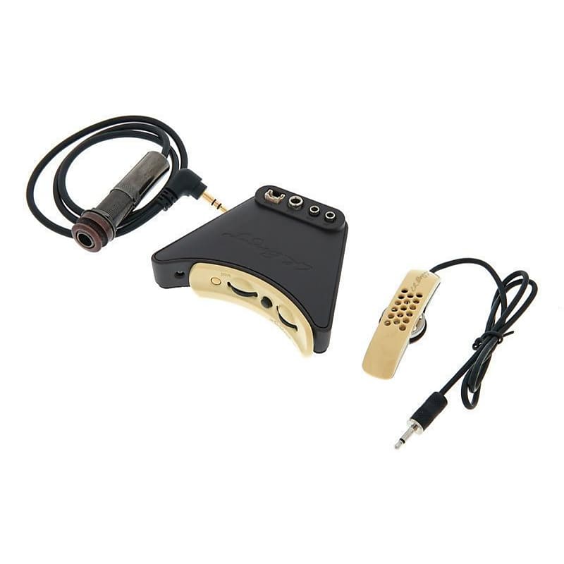 LR Baggs Anthem Soundhole Microphone/Undersaddle Acoustic Guitar