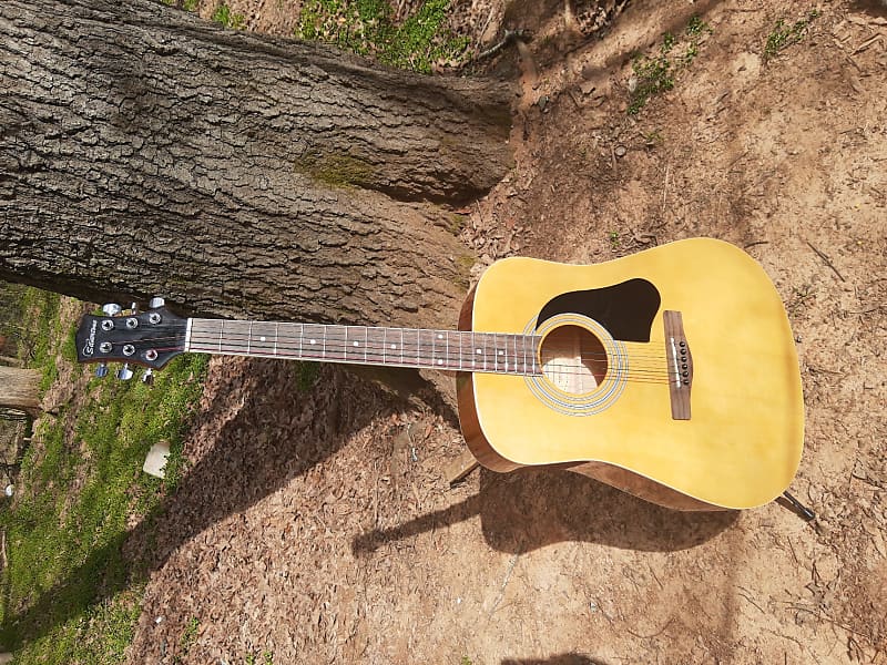 Silvertone Pro Series Model CA114344 Acoustic Guitar Reverb