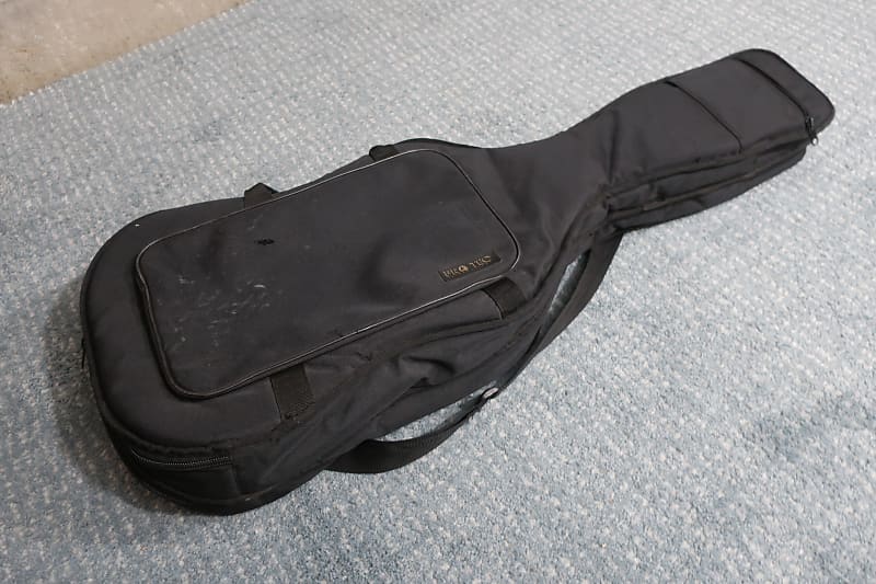 Protec guitar online case