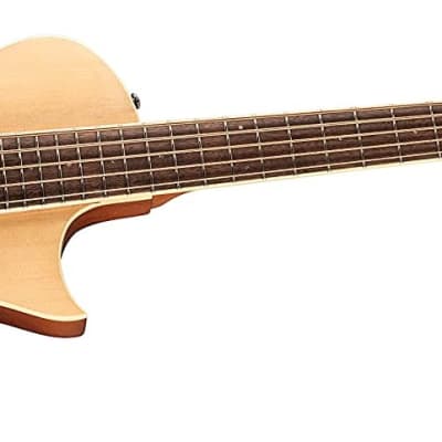 LTD by ESP Thinline TL5NAT 5-String  Acoustic Electric Bass in Natural Finish image 4