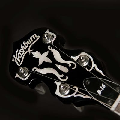 Washburn Americana Series 5-String Banjo w/ Deluxe Hard Case image 3
