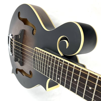 Gold Tone F6 F-Style Mando-Guitar w/ pickup image 3