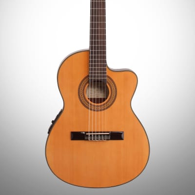 Ibanez GA5TCE Classical Cutaway Acoustic-Electric Guitar image 2