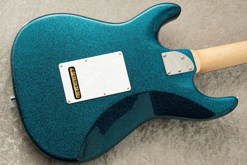ギター EDWARDS E-SNAPPER-AL/R Black/Tortoise E-SNAPPER | ESP GUITARS