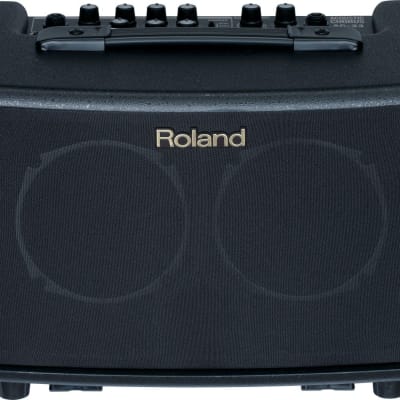 Roland AC-33RW 2-Channel 30-Watt 2x5