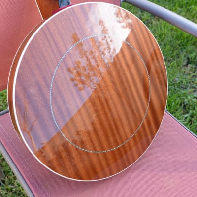 Capek Scarab five string (flathead + archtop tone ring) image 13