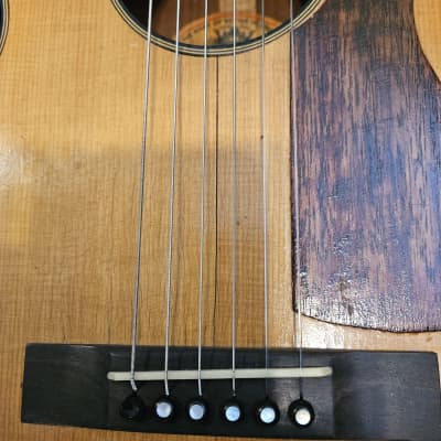 Regal Parlor Guitar Early 20th (video/ sound sample) image 12