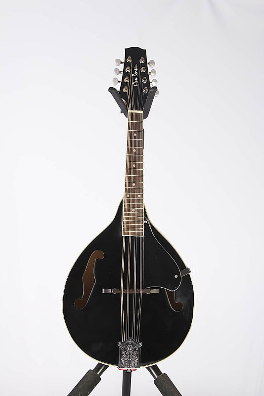 Glen Burton Black Mandolin Teardrop Style with soft case