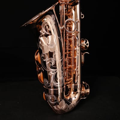 Yanagisawa AWO37PG Profess Eb Alto Saxophone, Sterling