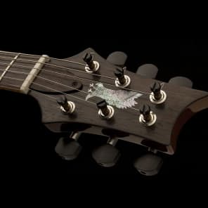 Pre-Order PRS Private Stock Super Eagle John Mayer PRS image 6
