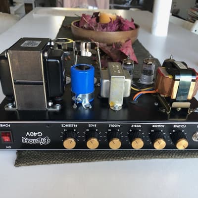 Pignose G40V, handwired, one of a kind image 3