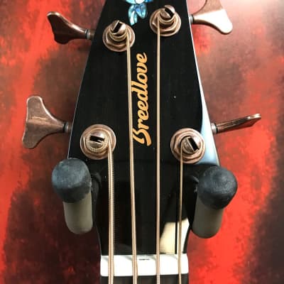 Breedlove Pursuit EX S Concert TW Bass CE HB Acoustic Bass Guitar (Nashville, Tennessee) image 2