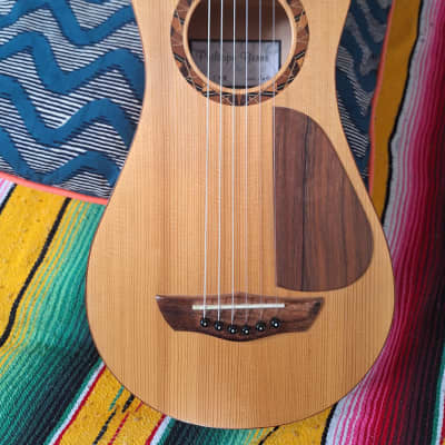 Philippe Berne's Travel Guitar 2010 for sale