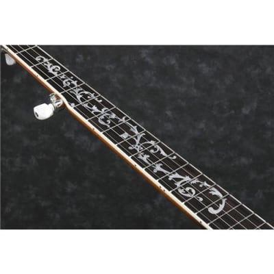Ibanez B300 5-String Banjo, 22 Frets, Mahogany Neck, Rosewood Fretboard, Abalone Resonator Binding image 7