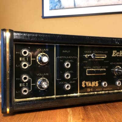 Evans ES-1 Echo Chorus (vintage tape echo delay) | Reverb