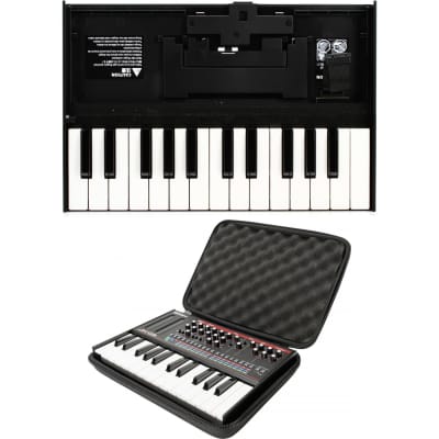 Roland K-25m Boutique Series 25-Key Portable Keyboard | Reverb