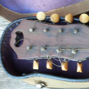 Wurlitzer  mandolin bowl back period correct case  natural image 4