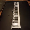 Alesis Keybed Replacement QS8 + QS8.1 with Cables / Fatar TP 20