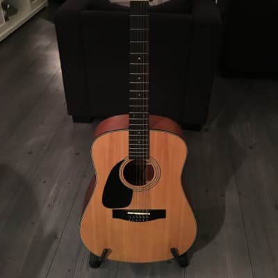 Samick SW250 LH-12 Aspen - Artist Edition - 12-string Guitar for sale